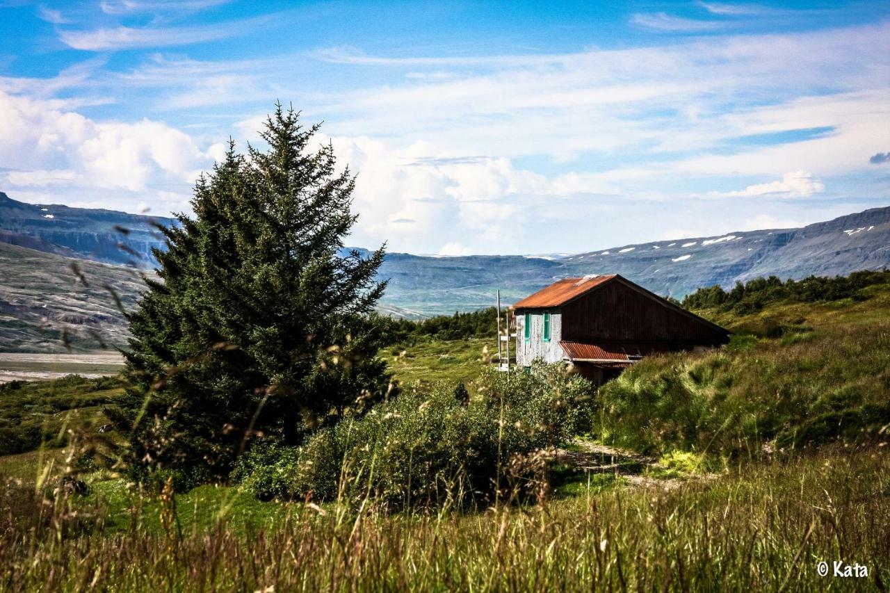 Græna húsið Apartamento Breiðdalsvík Exterior foto